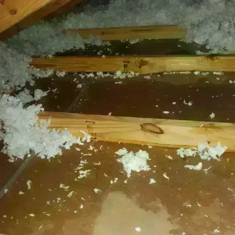 Attic Water Damage in Roseville, OH