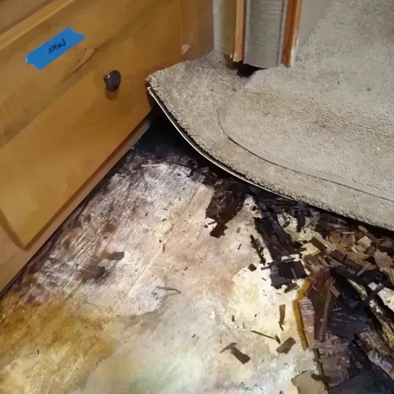 Wood Floor Water Damage in Roseville, OH